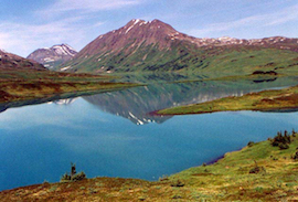 Discount hotels and attractions in Primrose, Alaska