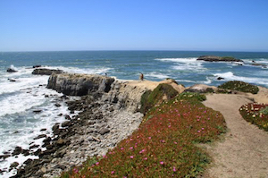 Discount hotels and attractions in Pescadero, California