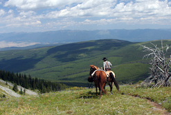 Discount hotels and attractions in Libby, Montana